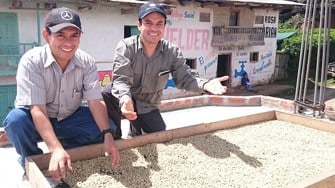 Growers in Peru